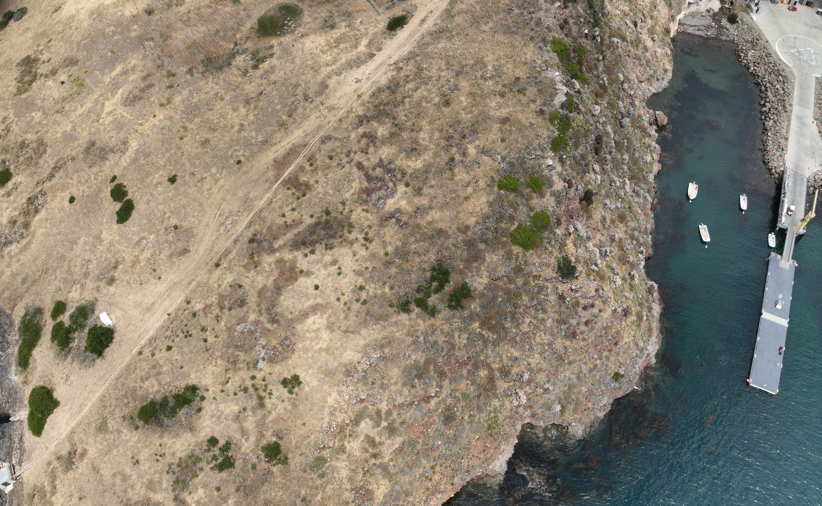LiDAR point cloud in ArcGIS Pro